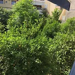 The Pirate's Mansion Apartment Nafplio