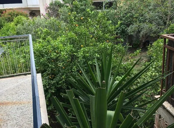 The Pirate's Mansion *