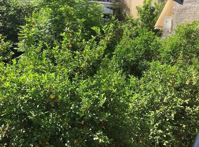 The Pirate's Mansion דירה נאפפליו